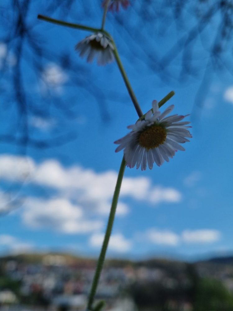 20210423_154806